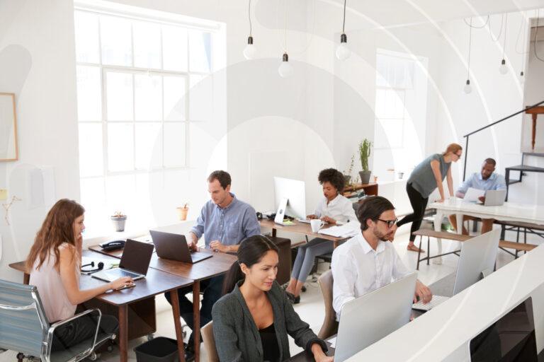 Group of young professionals working in an office